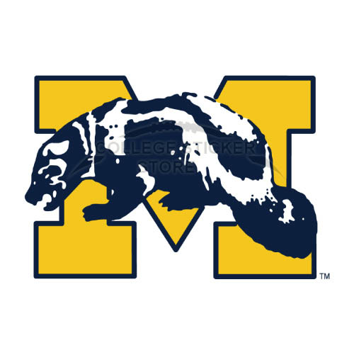 Personal Michigan Wolverines Iron-on Transfers (Wall Stickers)NO.5070